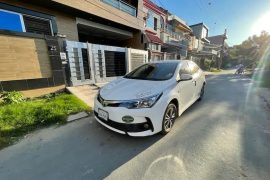 301118026 1205919366924071 3324020172262798177 n 1