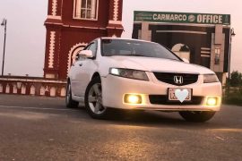 305285062 1213938742788800 6921288726565806047 n 1