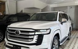 1685701499602347238536 1272175416740686 2975597446525471986 n