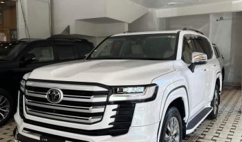 1685701499602347238536 1272175416740686 2975597446525471986 n