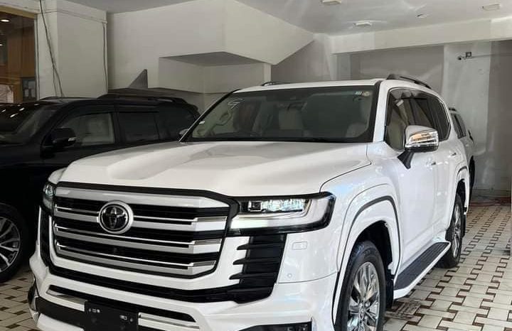 1685701499602347238536 1272175416740686 2975597446525471986 n