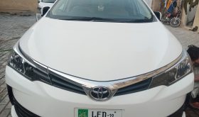 Toyota Corolla Altis 1.6 2019