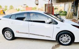 1594118487737106109124 10222759621888790 4382356406086224816 n