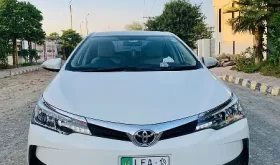 Gli Automatic 2018 Model