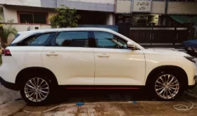 Changan Oshan X7 2022 future sense