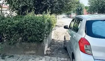 Used Suzuki Cultus 2019 full