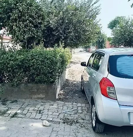 Used Suzuki Cultus 2019 full